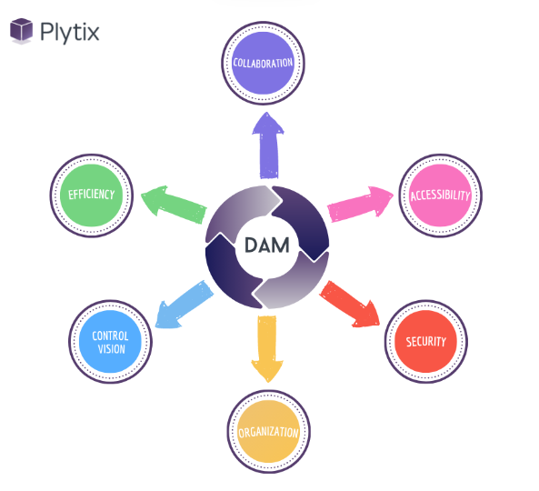 What is Digital Asset Management and How to Use It